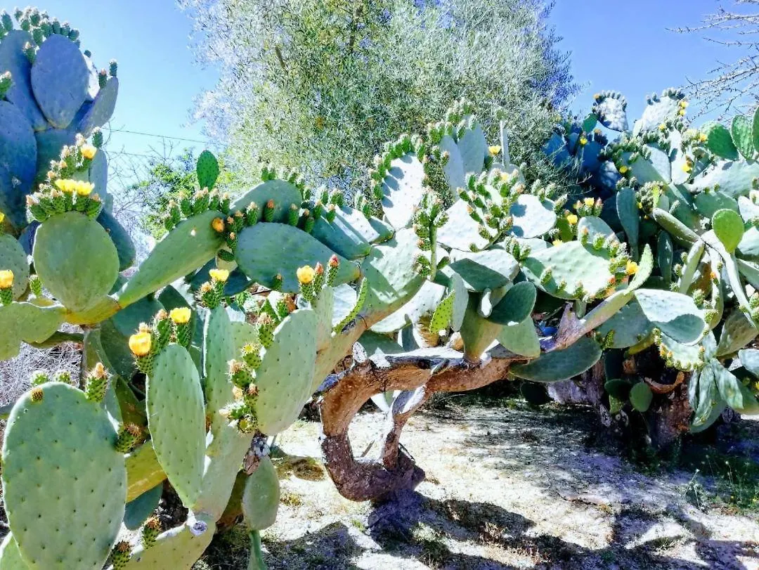 Hébergement de vacances Villa Sweet House à Santa Margalida Espagne