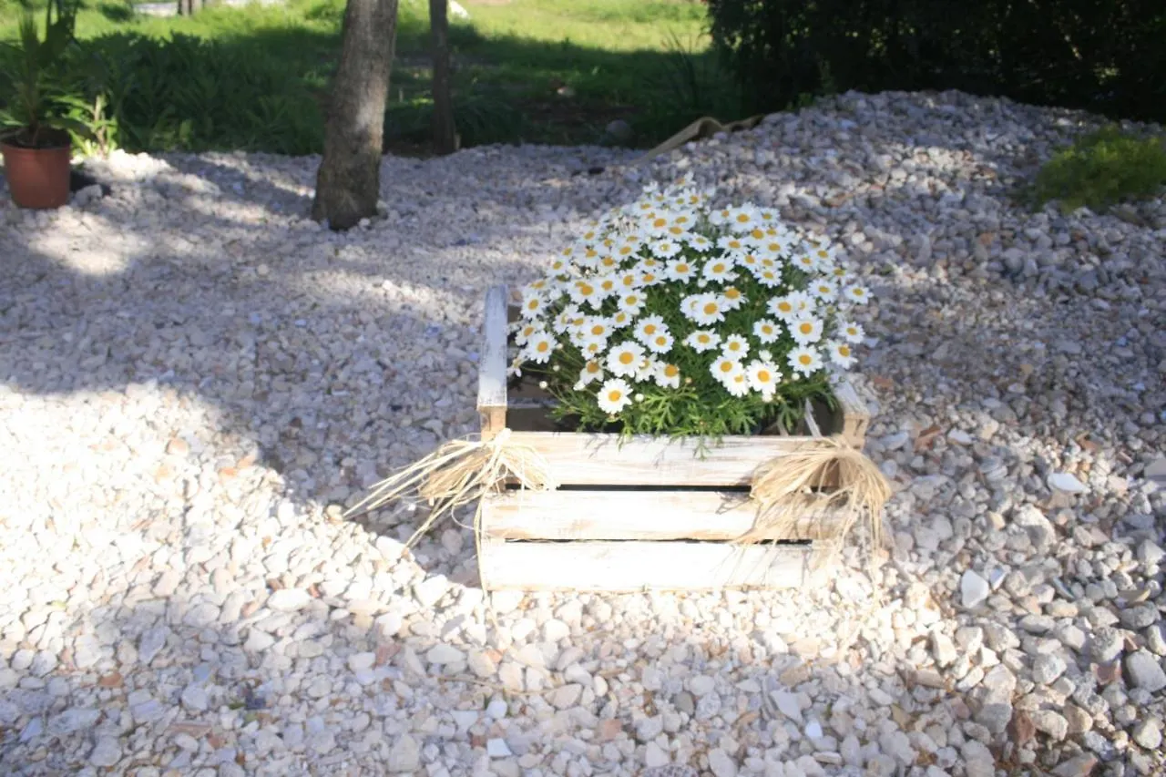 Villa Sweet House à Santa Margalida Hébergement de vacances